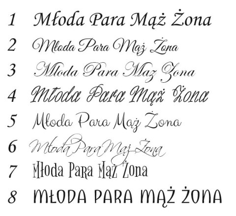 Drewniane tablice rejestracyjne - gałązki (WZÓR 14)