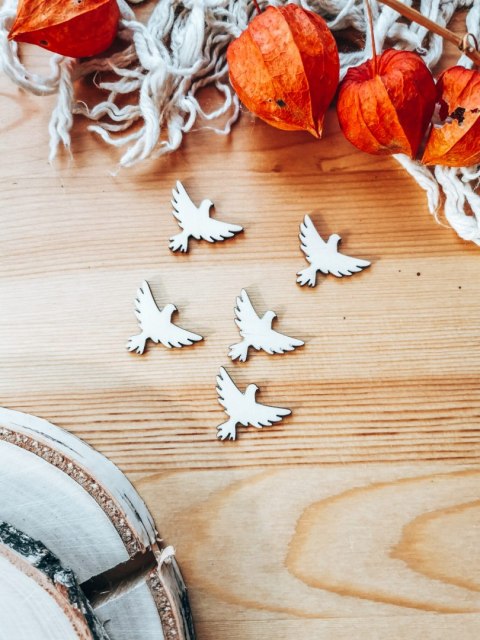 DEKOR gołąbek 2-5cm (5szt) - wzór 3 (DK-027)