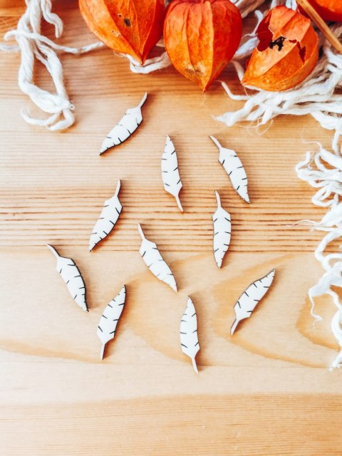 DEKOR pióro 3-5cm (10szt) - wzór 1 (DK-034)