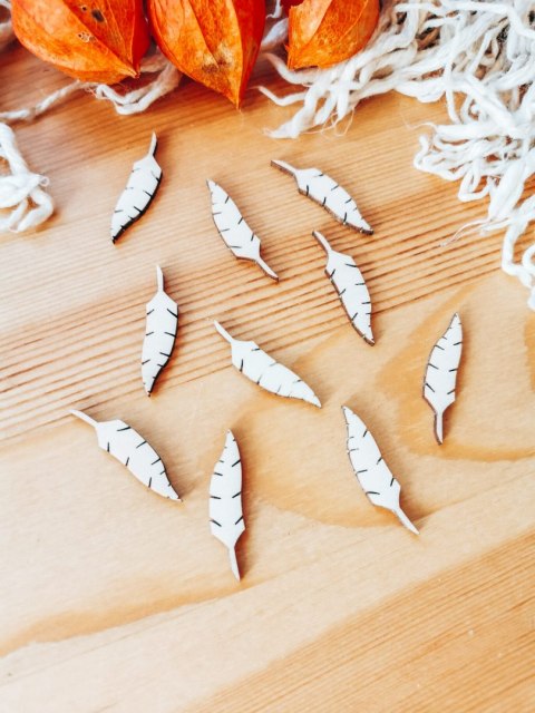 DEKOR pióro 3-5cm (10szt) - wzór 1 (DK-034)