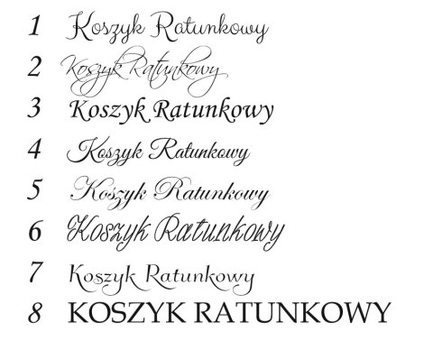 Koszyk Ratunkowy - skrzynka z napisem drewnianym 3d (10 wzorów)