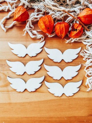 Skrzydła ! 6szt ! (7,5cm/9cm/12cm/18cm) - wzór 08 - - - (skrzydełka anioła, do aniołka, aniołek, anielskie)