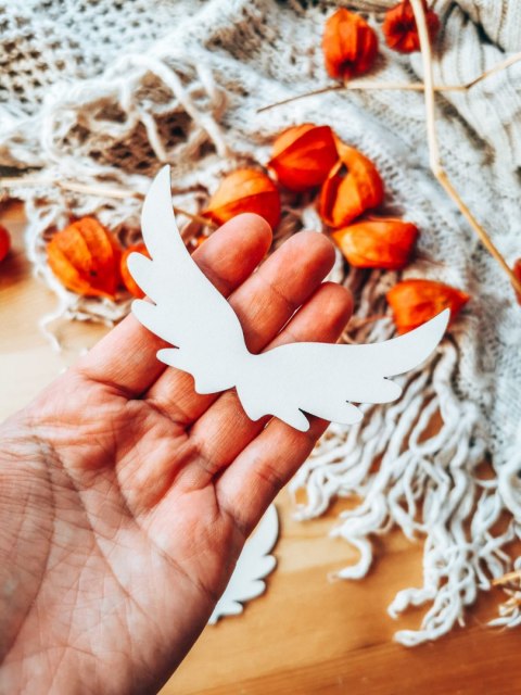 Skrzydła ! 6szt ! (7,5cm/9cm/12cm/18cm) - wzór 14 - - - (skrzydełka anioła, do aniołka, aniołek, anielskie)