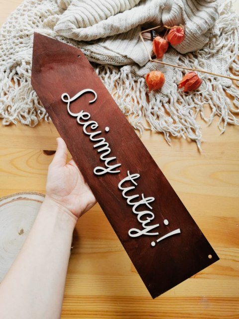 Drogowskaz (1szt) Lecimy tutaj! - - - (znak drogowskazu, tablica, tabliczka, strzałka)