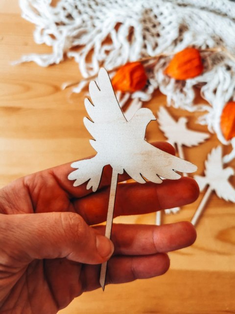 Piker miniToper - Gołąbek 01